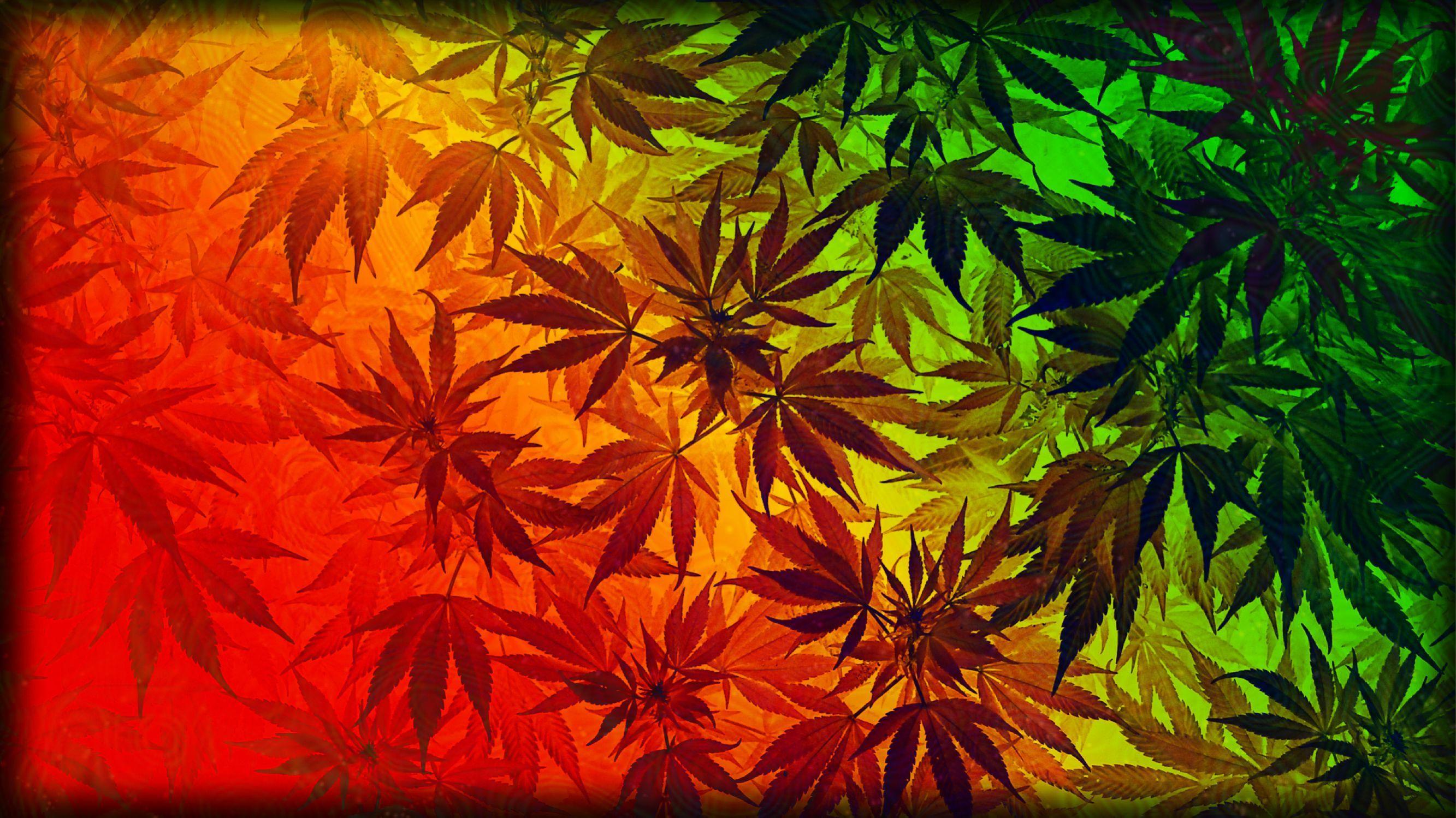 2666x1499 Download awesome weed wallpaper picture 12 HD Wallpaper weed