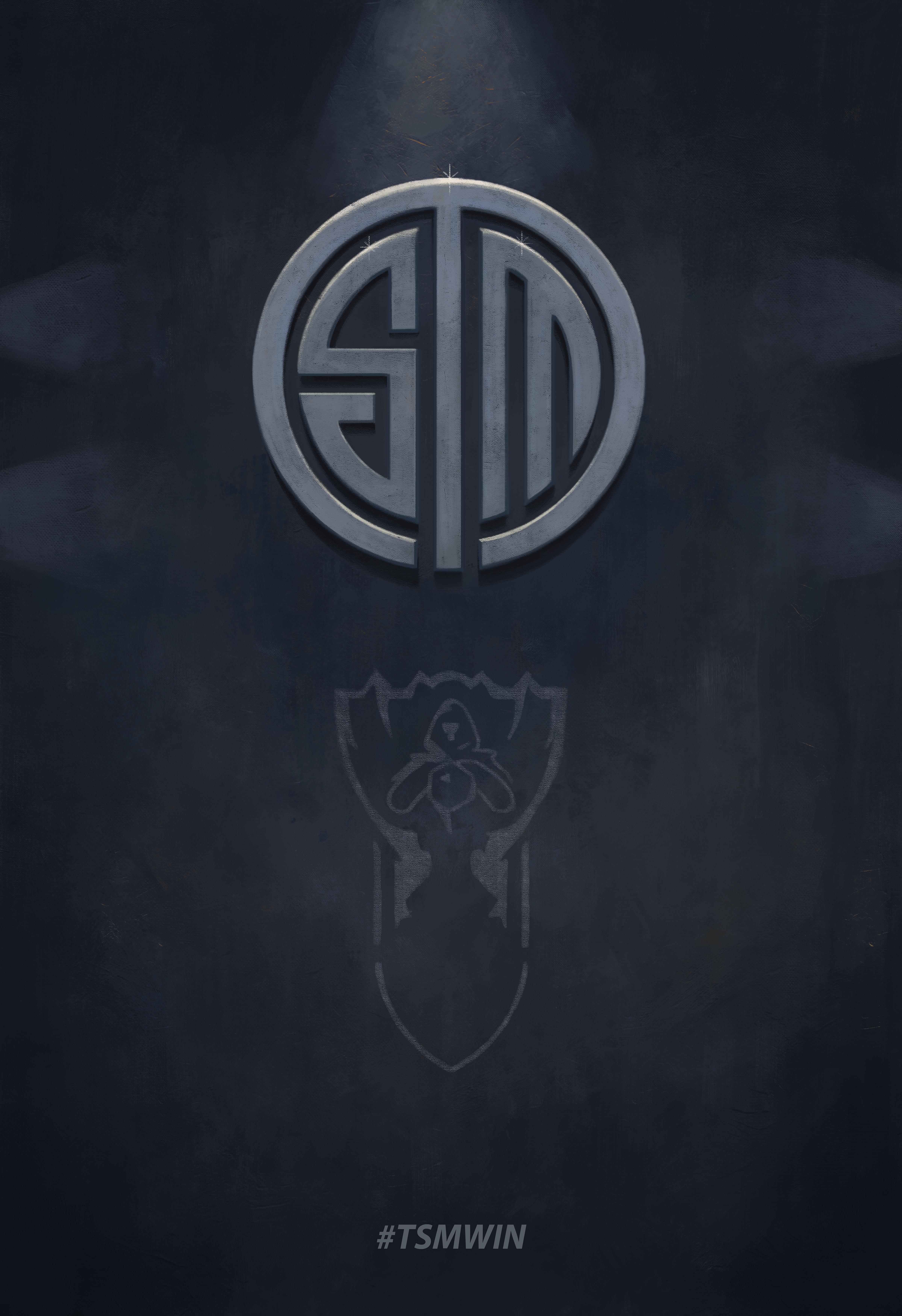 4800x7000 TSM Worlds Banner Painting