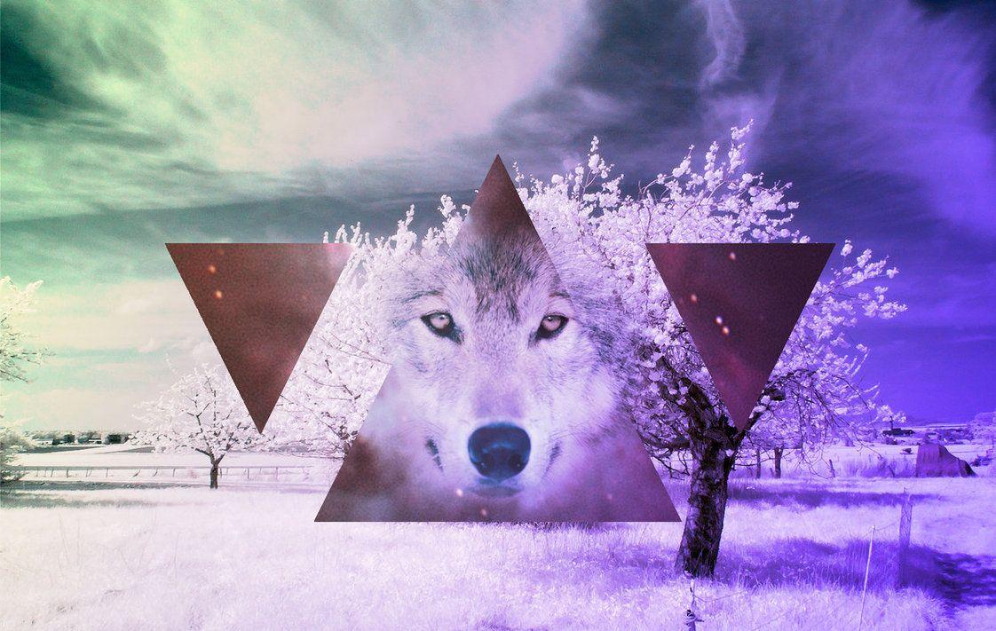 1122x711 Group of Wallpaper Hipster Wolf Galaxy