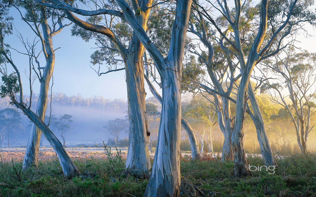 1280x800 Free download wallpaper 15 Landscape Wallpaper download wallpaper [1280x800] for your Desktop, Mobile & Tablet. Explore Free Australian Wallpaper. Australian Shepherd Wallpaper, Sydney Australia Wallpaper, Australia Desktop Wallpaper