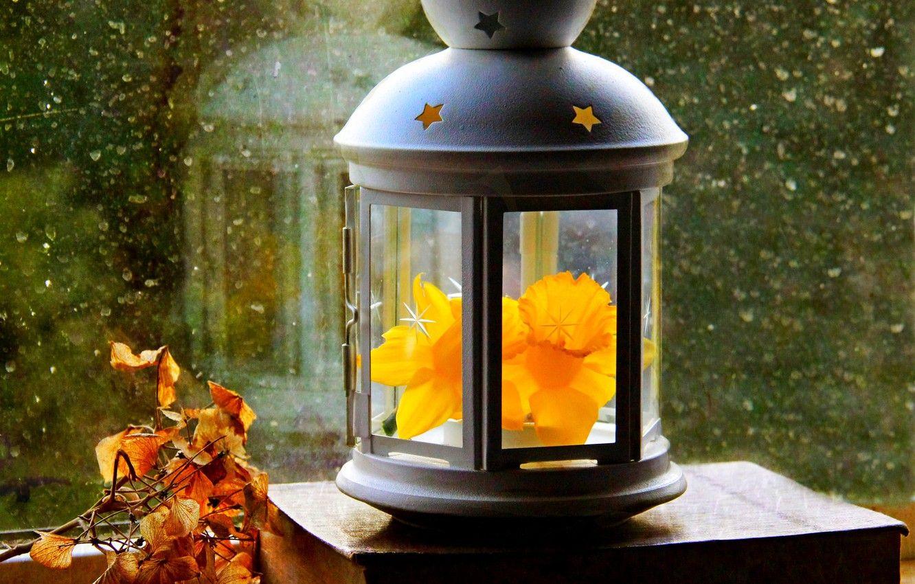Autumn Lantern Wallpapers - Top Free Autumn Lantern Backgrounds