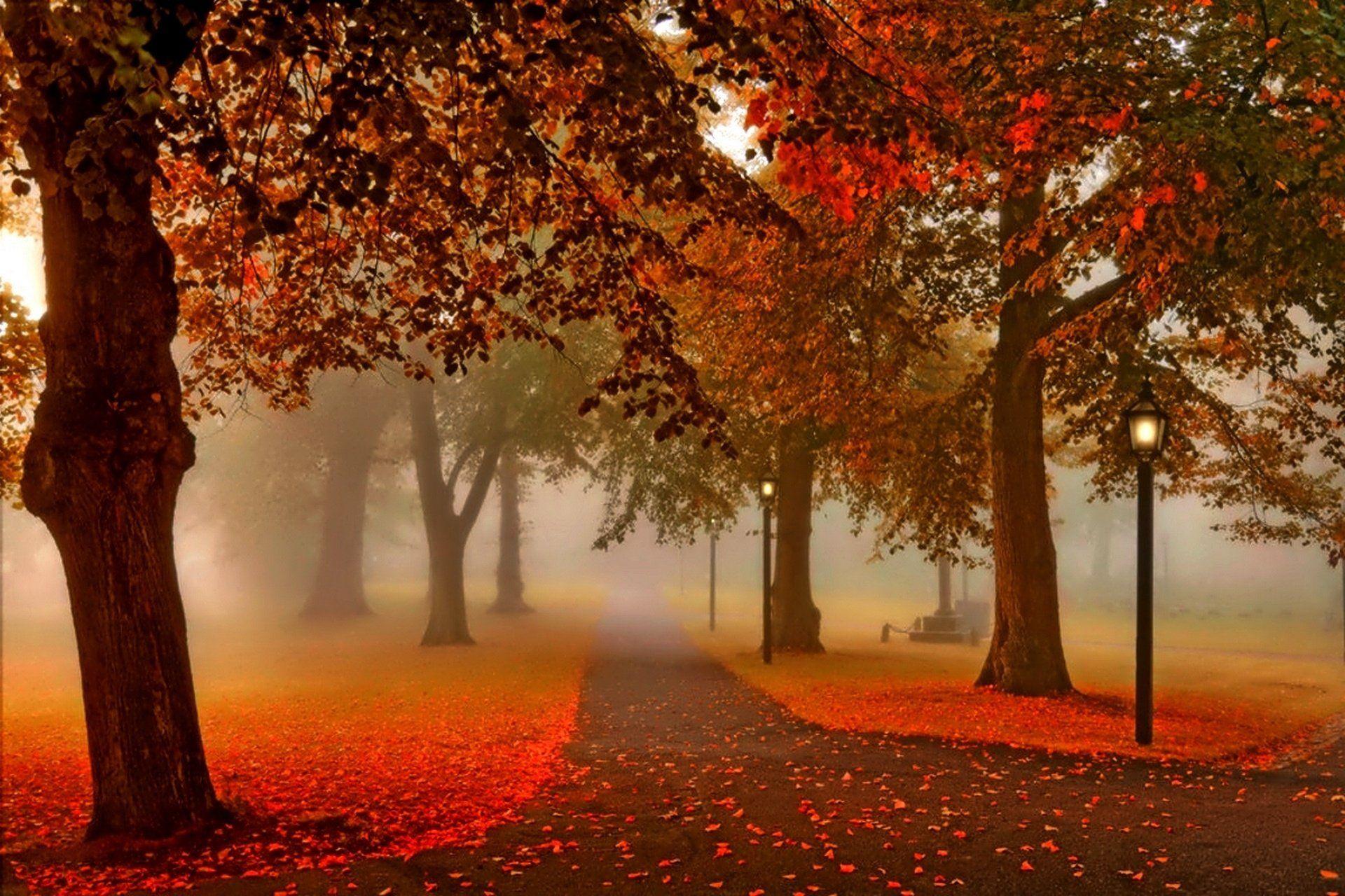 1920x1280 Sunset nature park autumn lantern wallpaperx1280