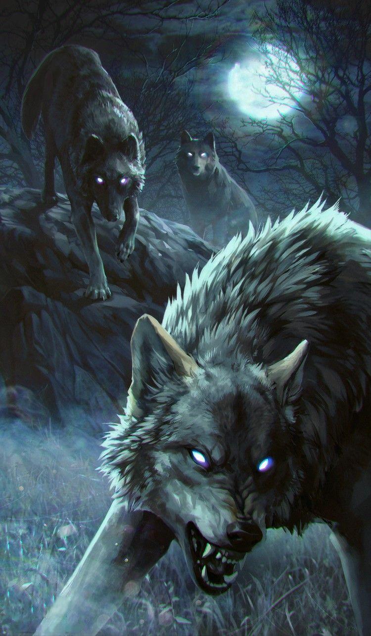 Dark Forest Wolf Wallpapers - Top Free Dark Forest Wolf Backgrounds ...