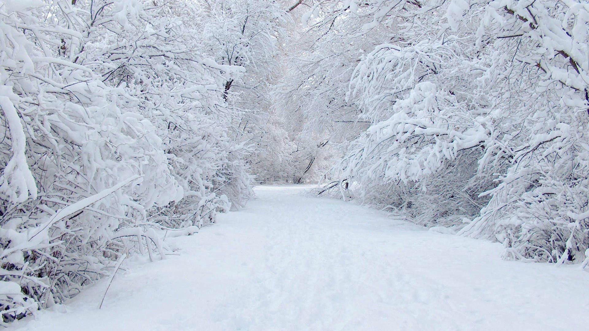 1920x1080 Falling Snow Wallpaper