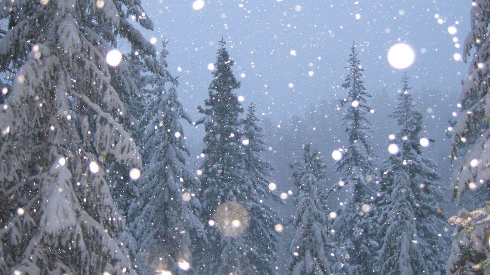 1600x900 Snow Falling Background