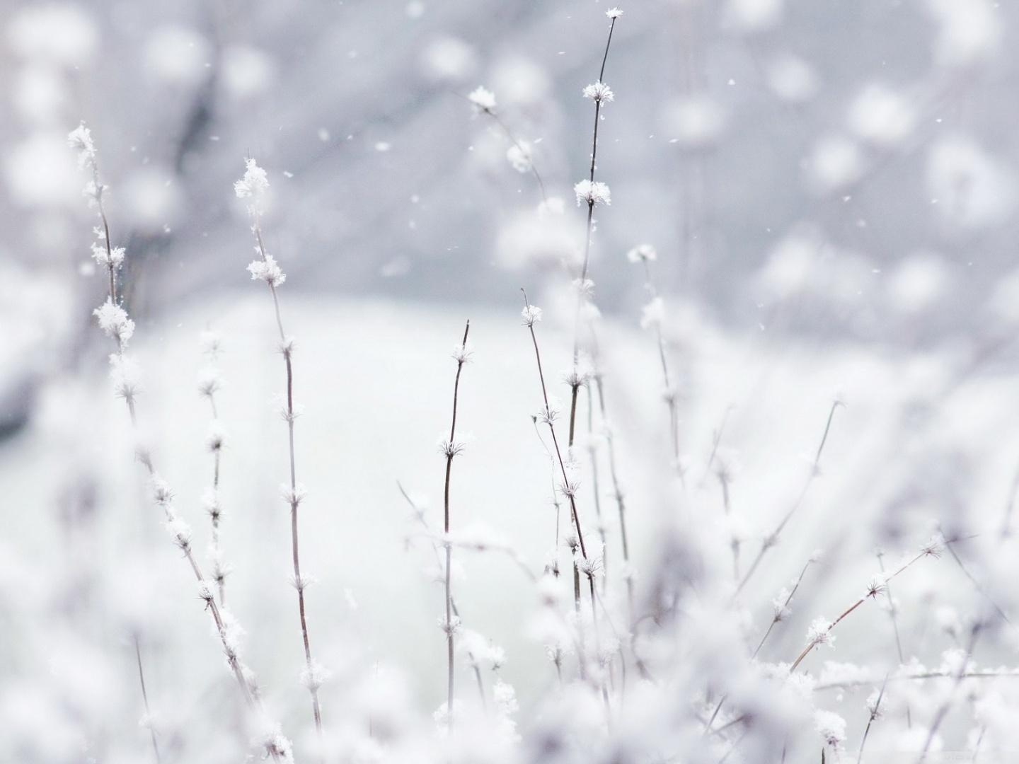 1440x1080 Falling Snow Wallpaper For Desktop