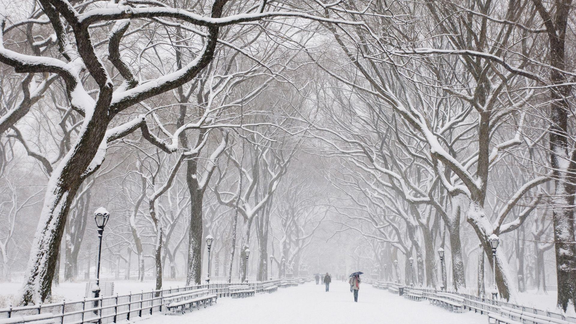 1920x1080 Snow Falling HD Wallpaper