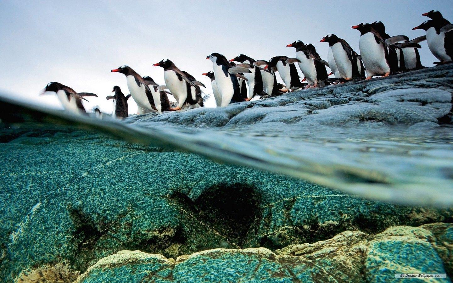 1440x900 Free Wallpaper Nature wallpaper Scenery 1 wallpaper