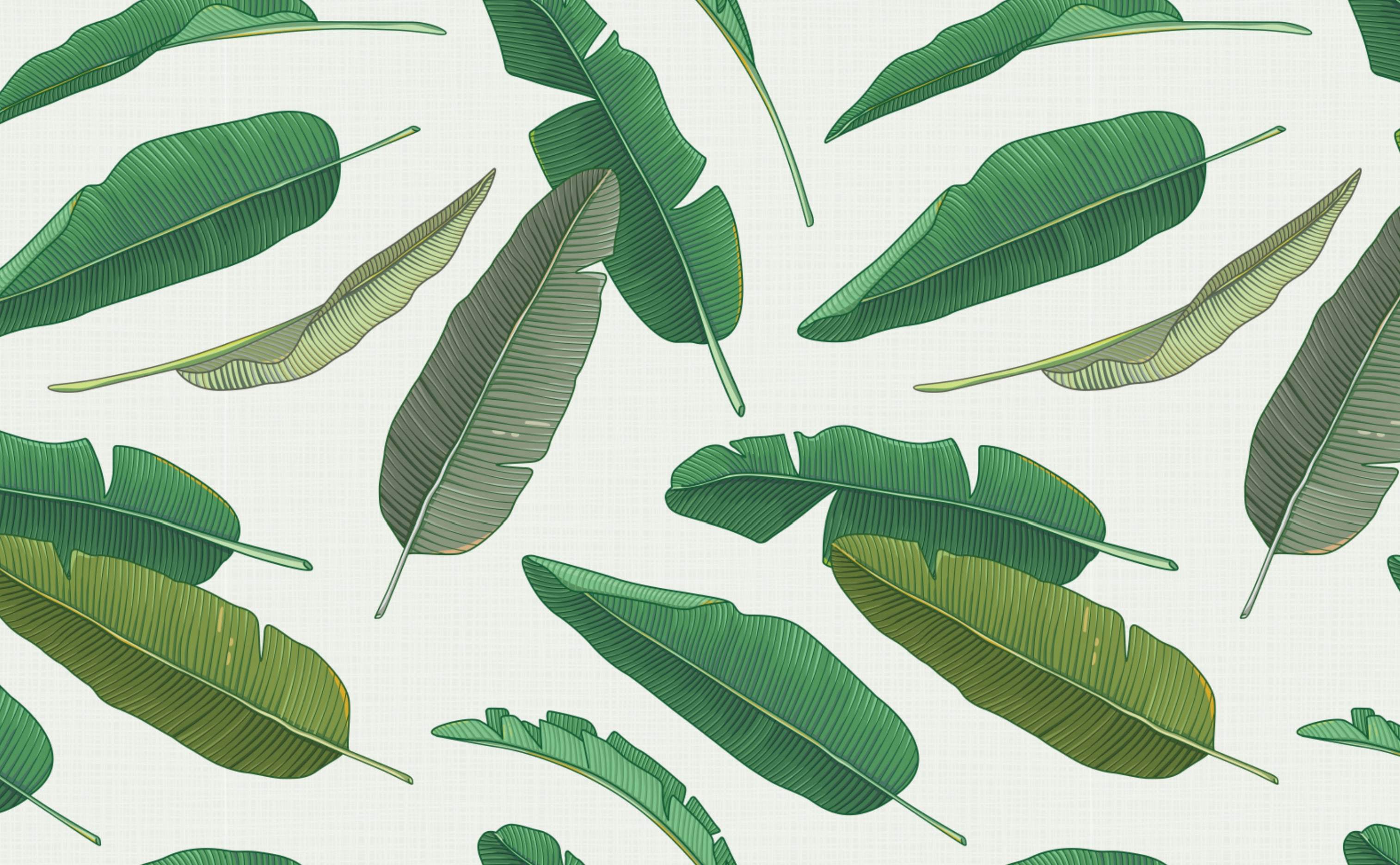 3028x1872 Caribbean Cool Tropical Wallpaper. Iconic Tropical Image