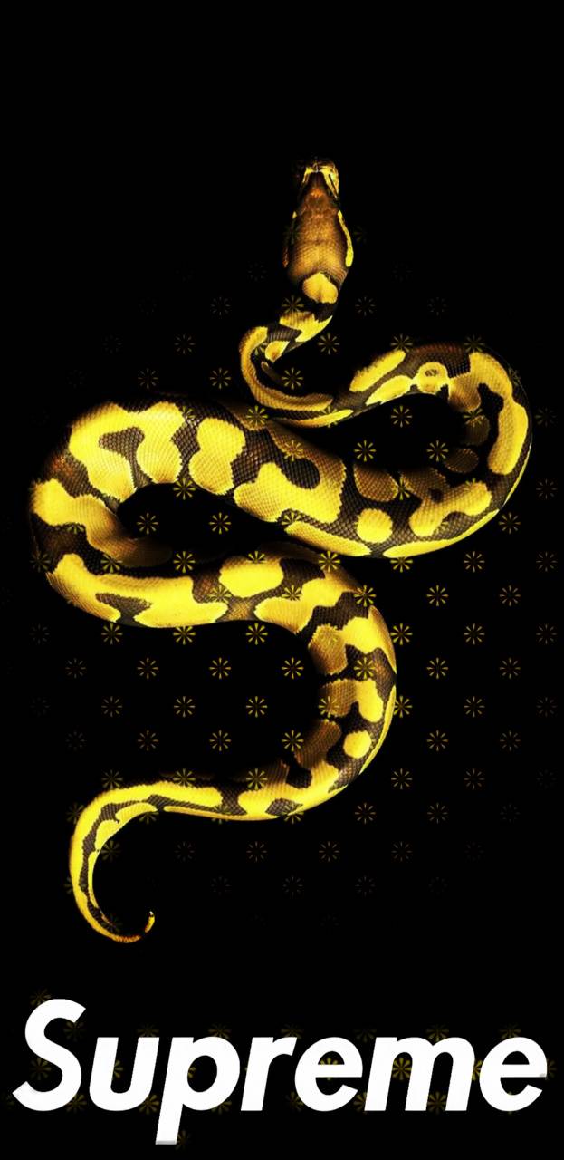 Yellow Supreme Wallpapers Top Free Yellow Supreme Backgrounds