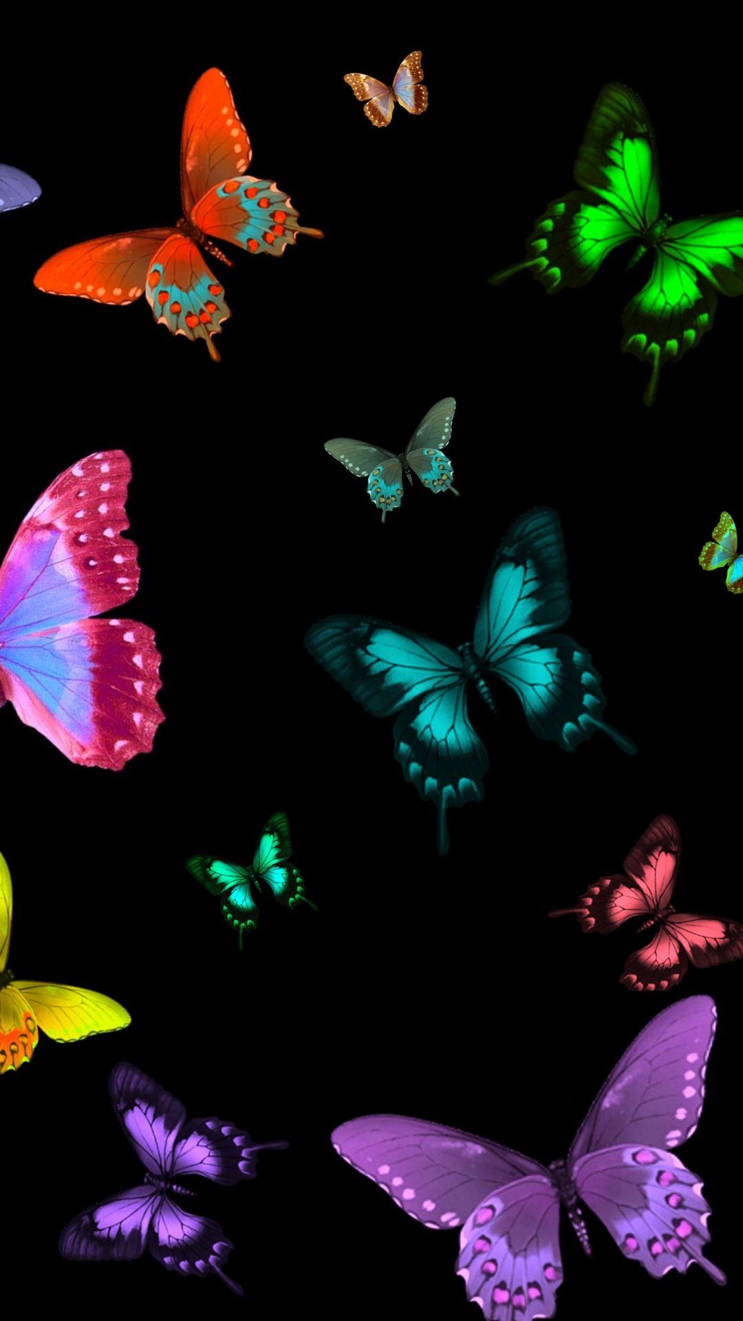 Black Butterfly HD Wallpapers Top Free Black Butterfly HD Backgrounds WallpaperAccess