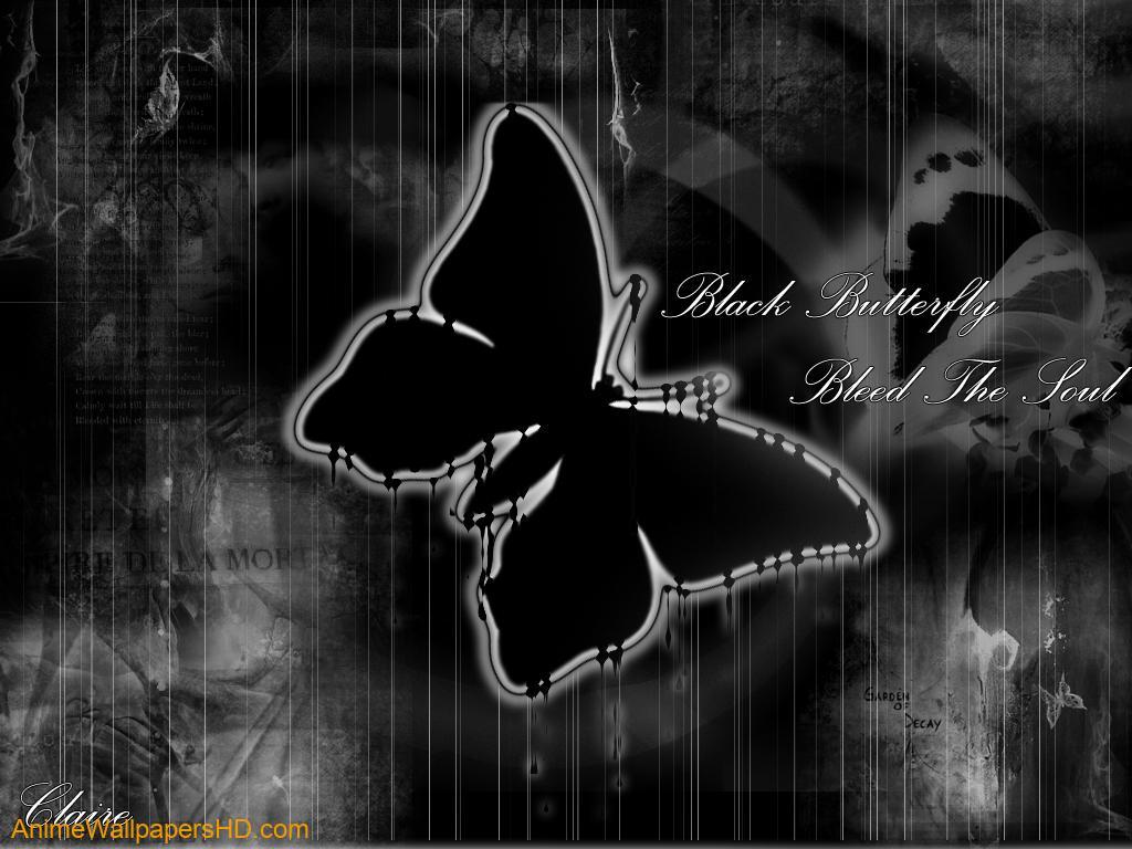 Black Butterfly HD Wallpapers Top Free Black Butterfly HD Backgrounds