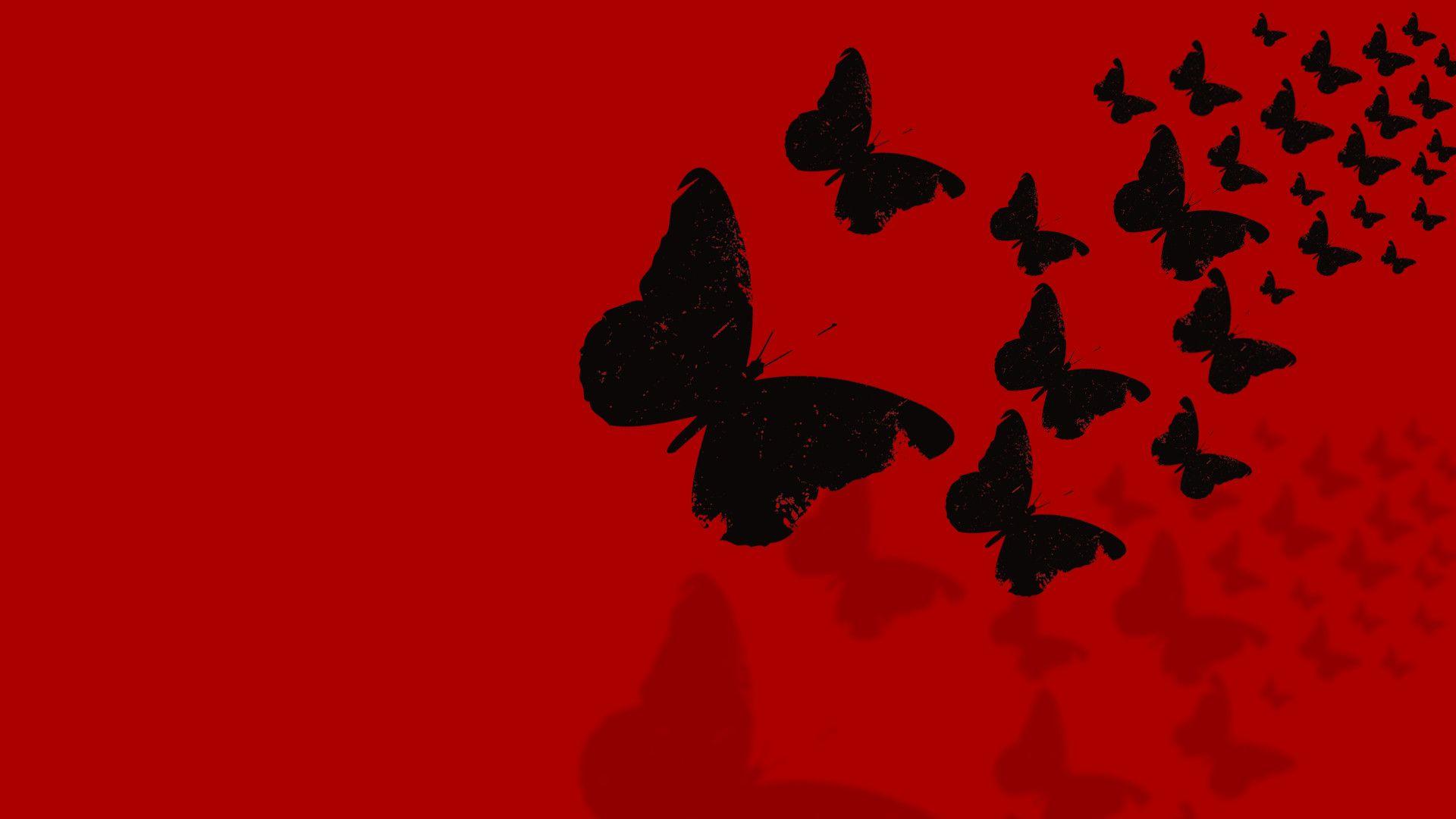 Black Butterfly HD Wallpapers - Top Free Black Butterfly HD Backgrounds