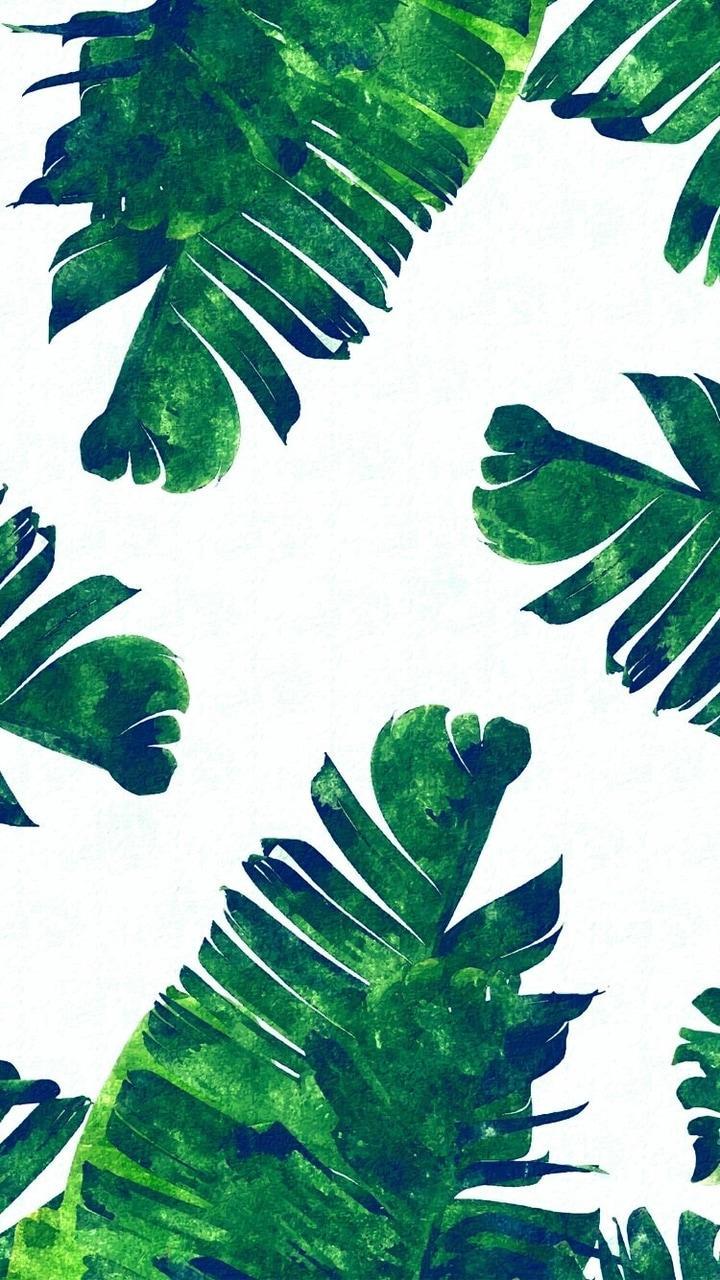 720x1280 Tumblr Hawaiian Wallpaper