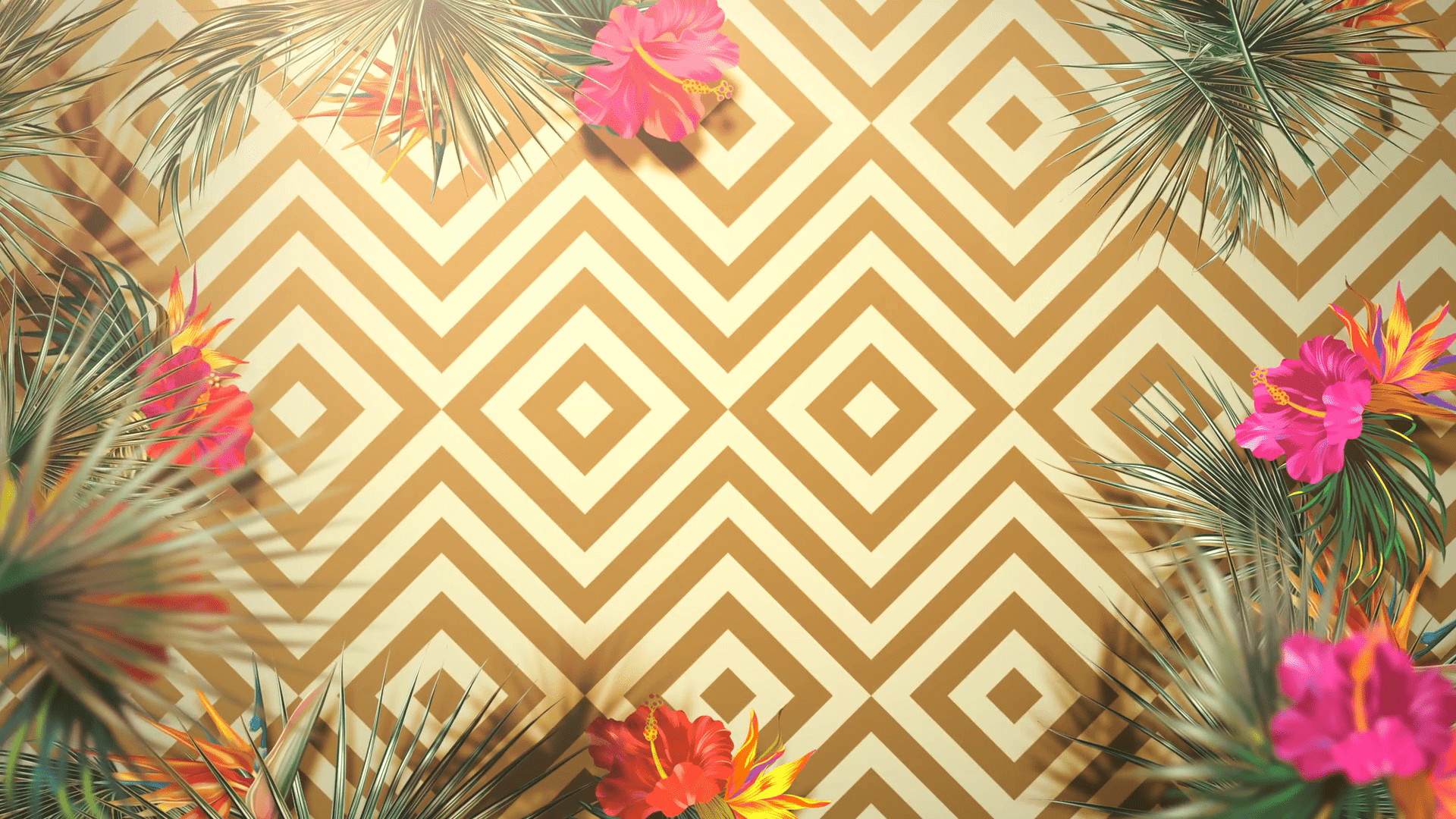 1920x1080 Closeup tropical leaf of trees, summer background. Elegant and luxury dynamic 80s, 90s retro style animation footage Motion Background