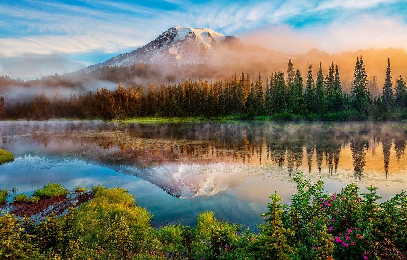 1332x850 Wallpaper forest, summer, reflection, fog, lake, mountain, morning, USA, Washington, Mount Rainier, Rainier, The cascade mountains, stratovolcano image for desktop, section природа