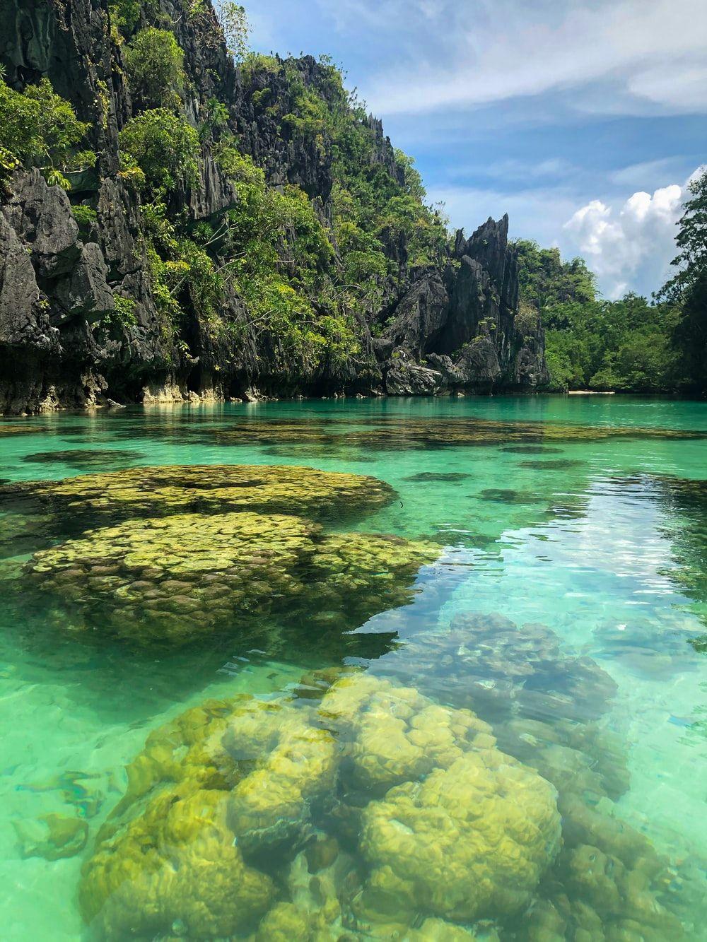 Palawan Philippines Wallpapers Top Free Palawan Philippines Backgrounds WallpaperAccess