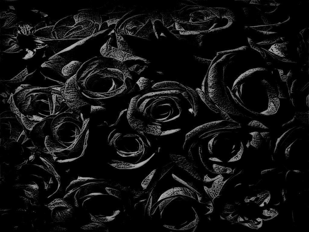 1024x768 Wallpaper Of Black Roses