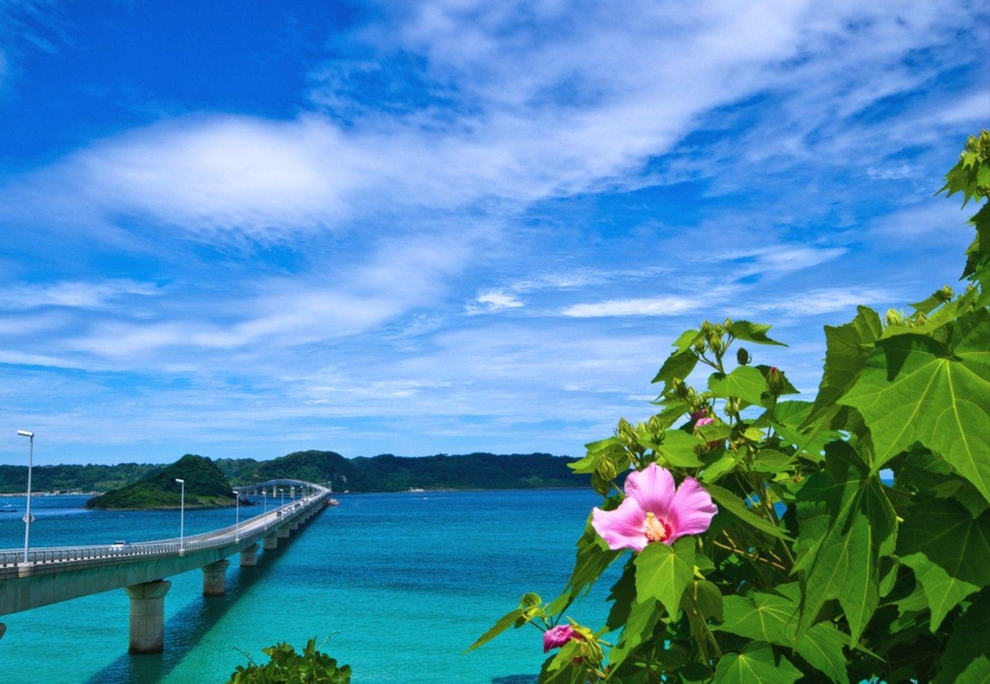 1433x990 Bãi biển: Màu xanh lá cây Biển xanh Nhật Bản Cầu Hoa Bãi biển nhiệt đới