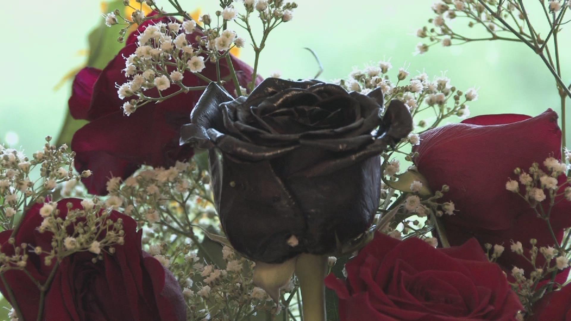 1920x1080 Wallpaper Of Black Roses