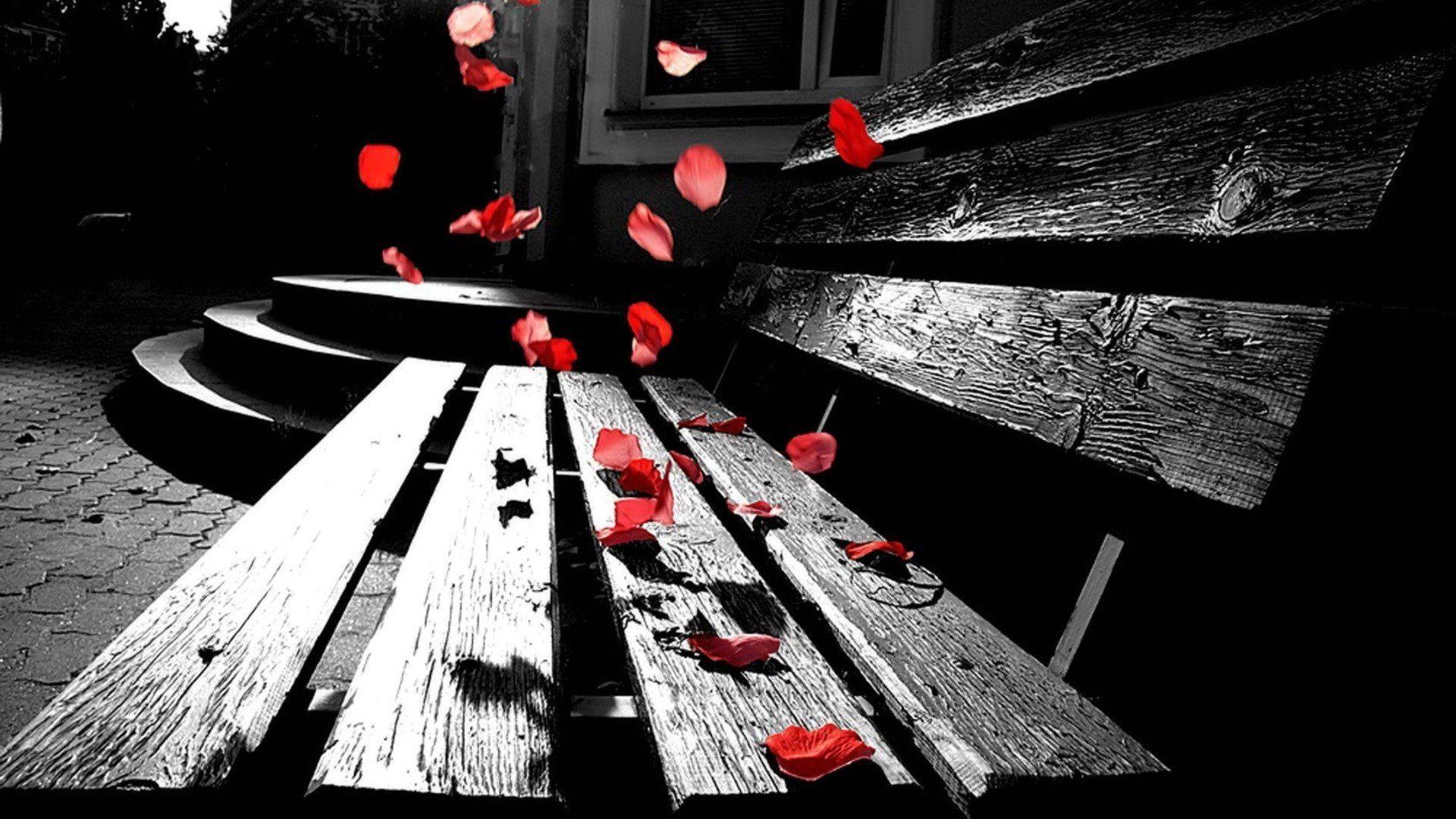 1920x1080 Gothic Rose Wallpaper 1920x1080 (321.41 KB)