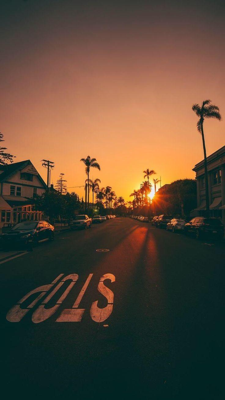 736x1309 Sunsets Palm Trees iPhone HD Wallpaper