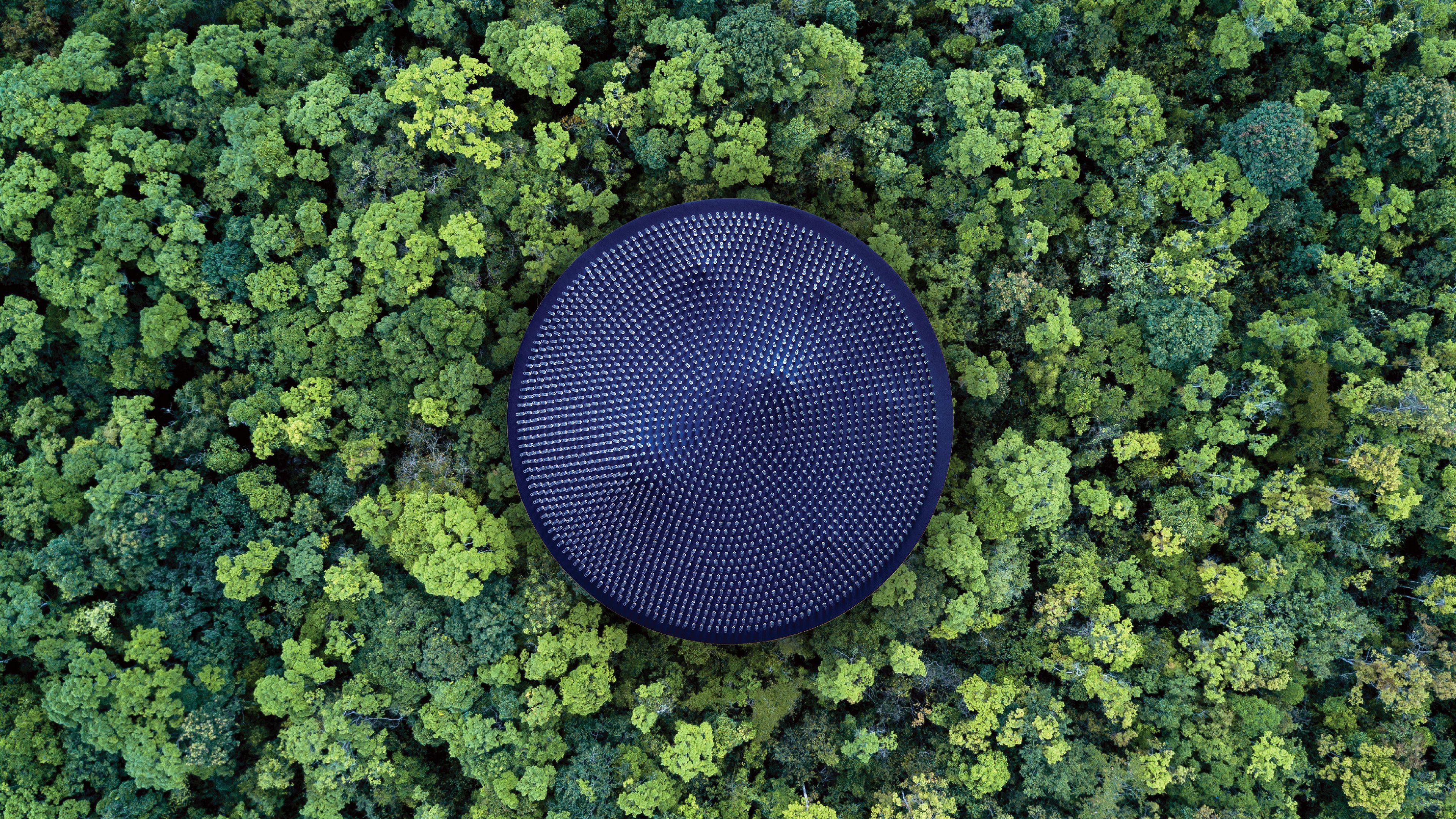 3840x2160 Forest Aerial View 4K Wallpaper