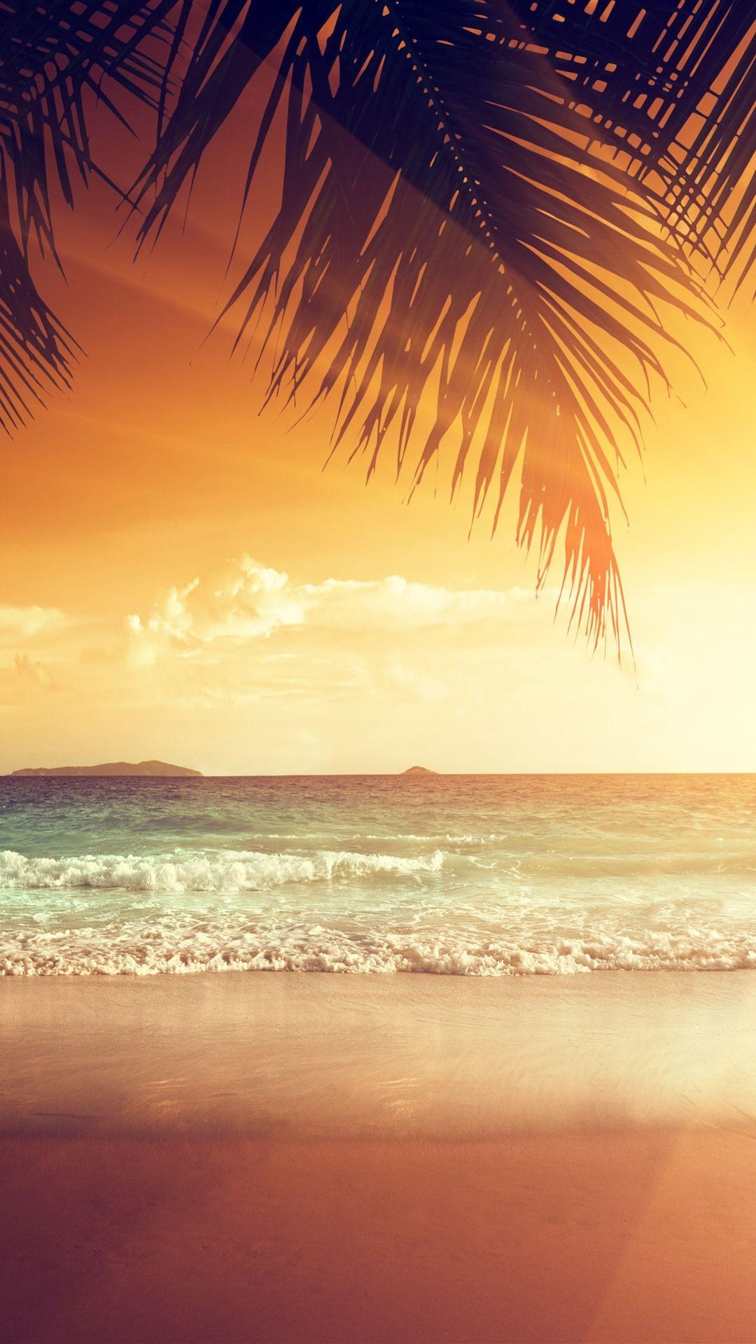 1080x1920 Beautiful Sunset, Palm Tree Leaves, Beach, Sea, Tropical, Summer 1242x2688 IPhone 11 Pro XS Max Wallpaper, Background, Picture, Image