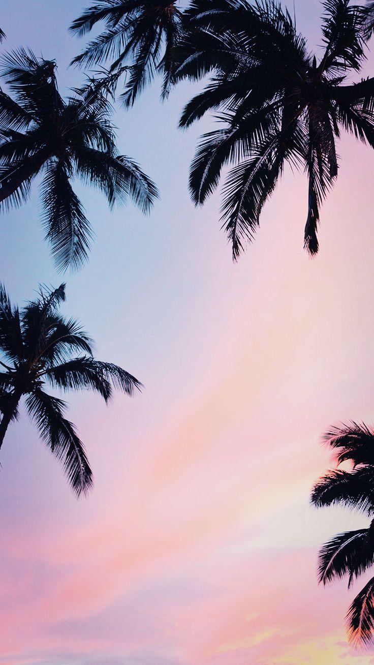 Palm Tree Sunset iPhone Wallpapers - Top Những Hình Ảnh Đẹp