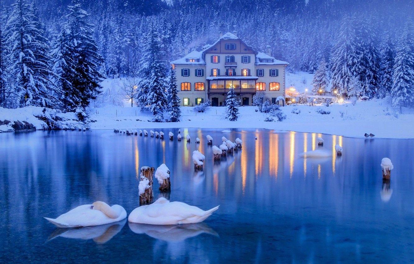 1332x850 Wallpaper winter, snow, trees, birds, lake, house, ate, Alps, Italy, swans, forest image for desktop, section природа