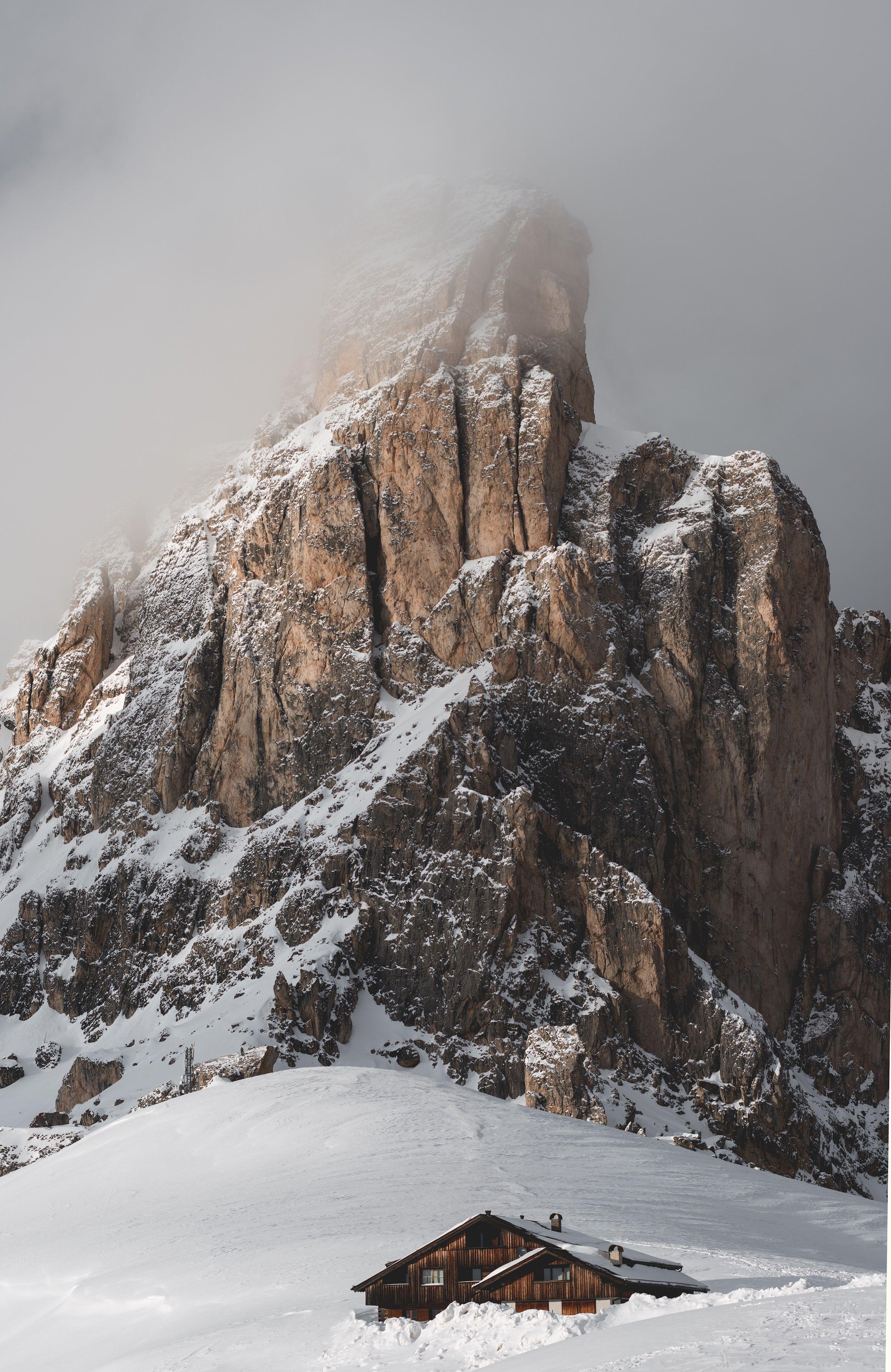 2592x3994 CHRISTMAS, SNOW AND WINTER. best free winter, snow, christma, and cold photo. Winter landscape, Forest photo, Beautiful wallpaper