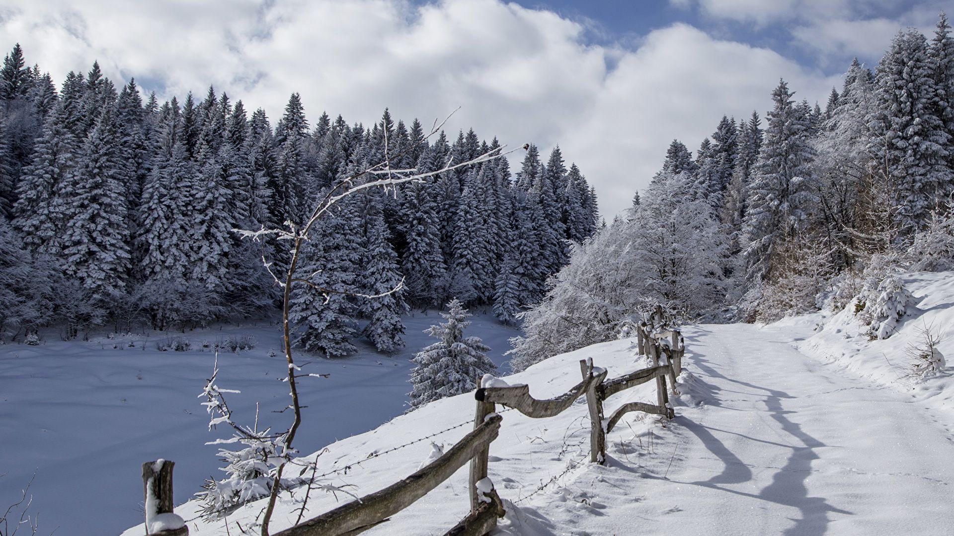 1920x1080 Wallpaper Italy Alta Badia Winter Spruce Nature Snow Roads 1920x1080