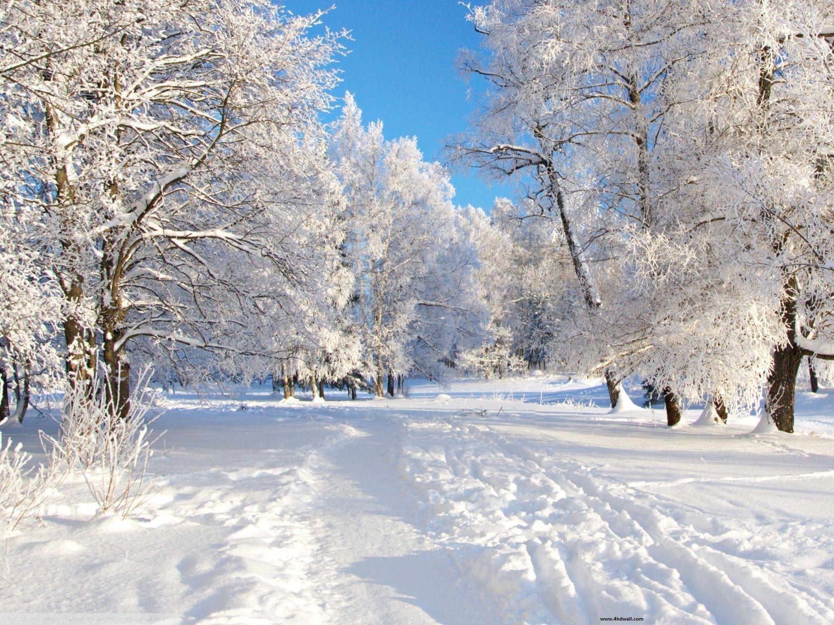 1680x1260 Winter Desktop Background Free