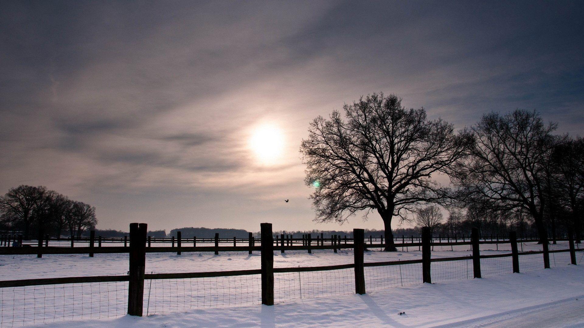 1920x1080 Sunrise Sunset: Winter Fence Trees Sky Nature Landscapes Sunset