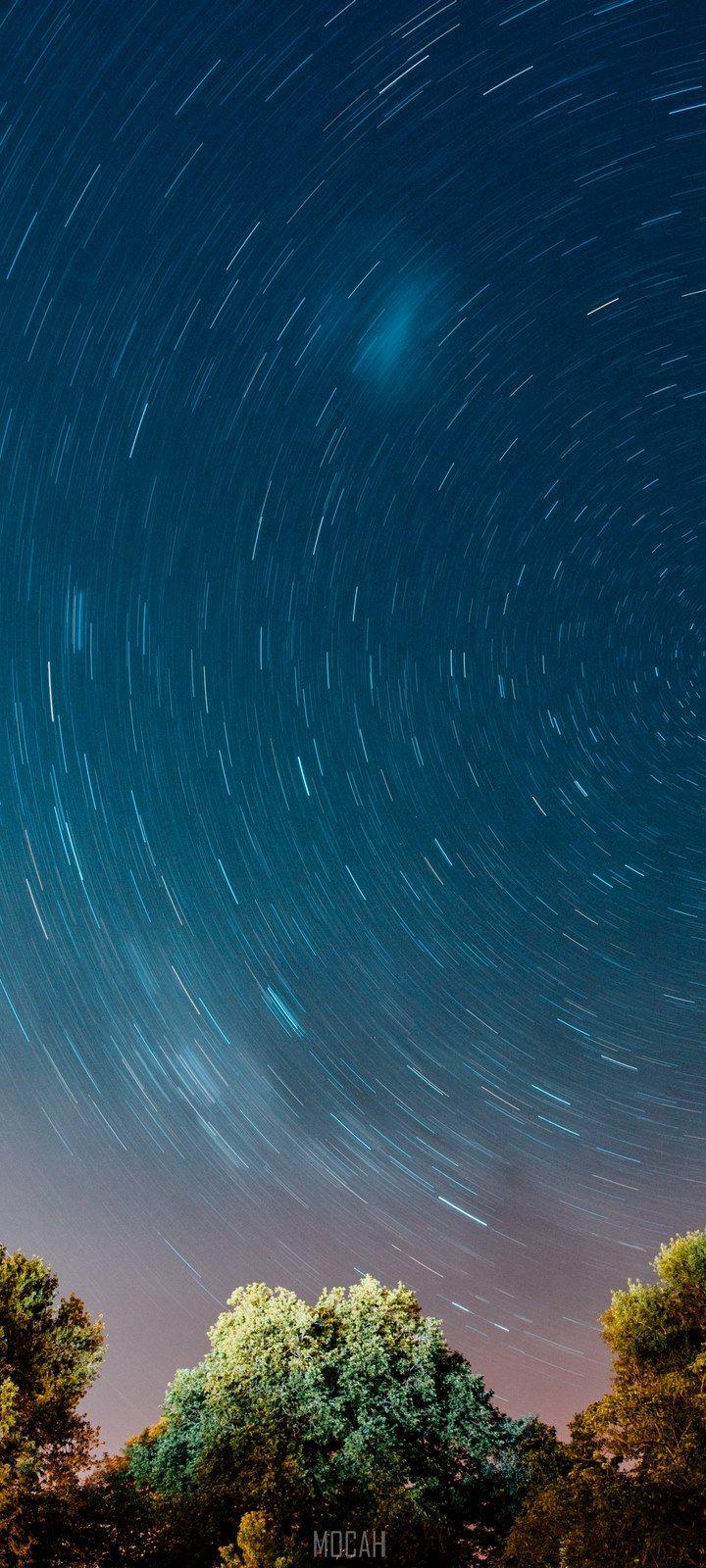 720x1600 stars milky way tree and woodland hd, Huawei Y6p wallpaper HD free download, 720x1600