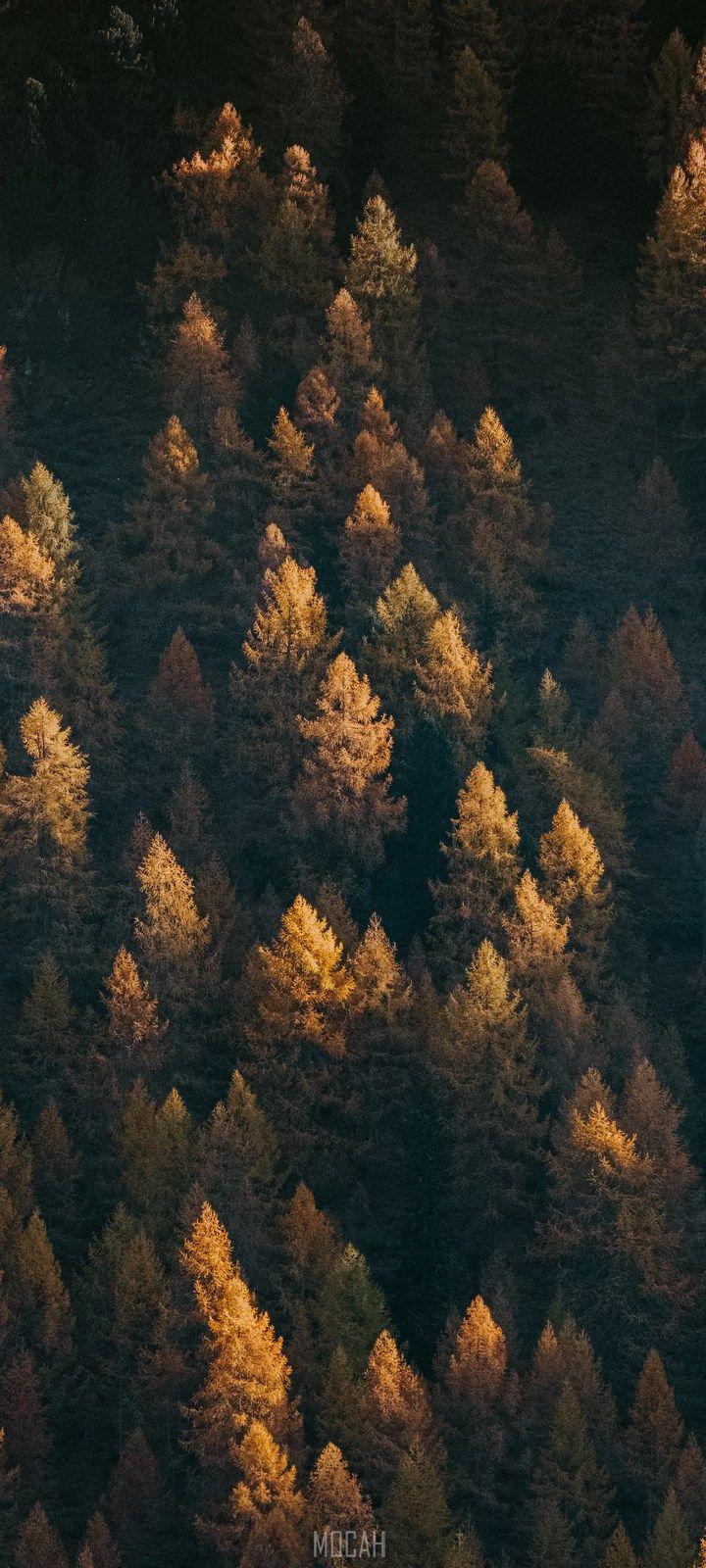 720x1600 hammer head island, Huawei Y6p wallpaper hd, 720x1600