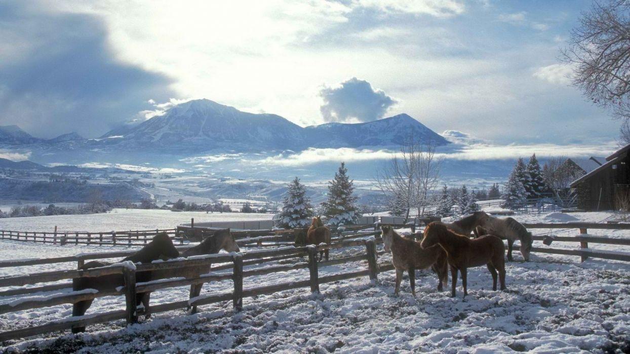 1244x700 Clouds landscapes nature winter snow trees skylines fences