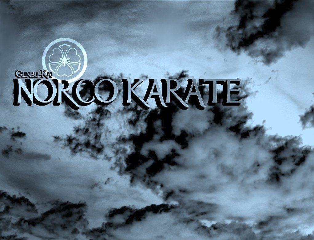 1021x782 Shotokan Karate Wallpaper 1021x782