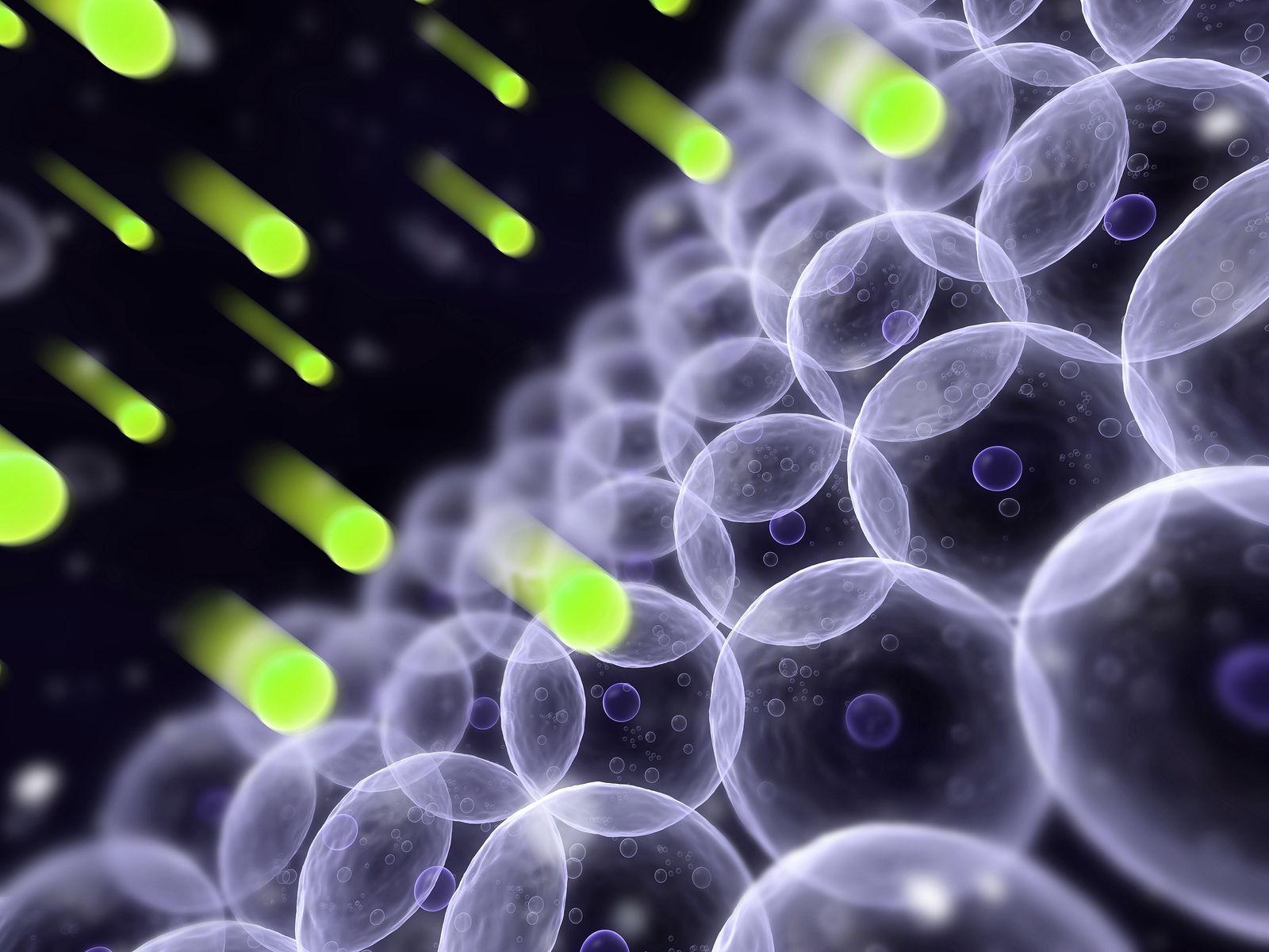 1600x1200 Mitochondria Wallpaper. Mitochondria Wallpaper, Mitochondria PowerPoint Background and