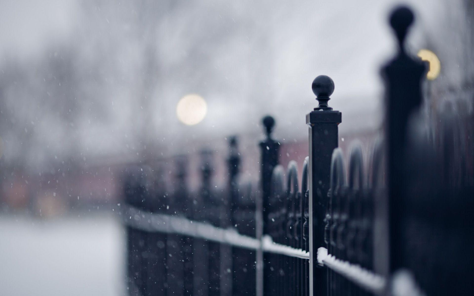 1920x1200 Winter Fence Closeup