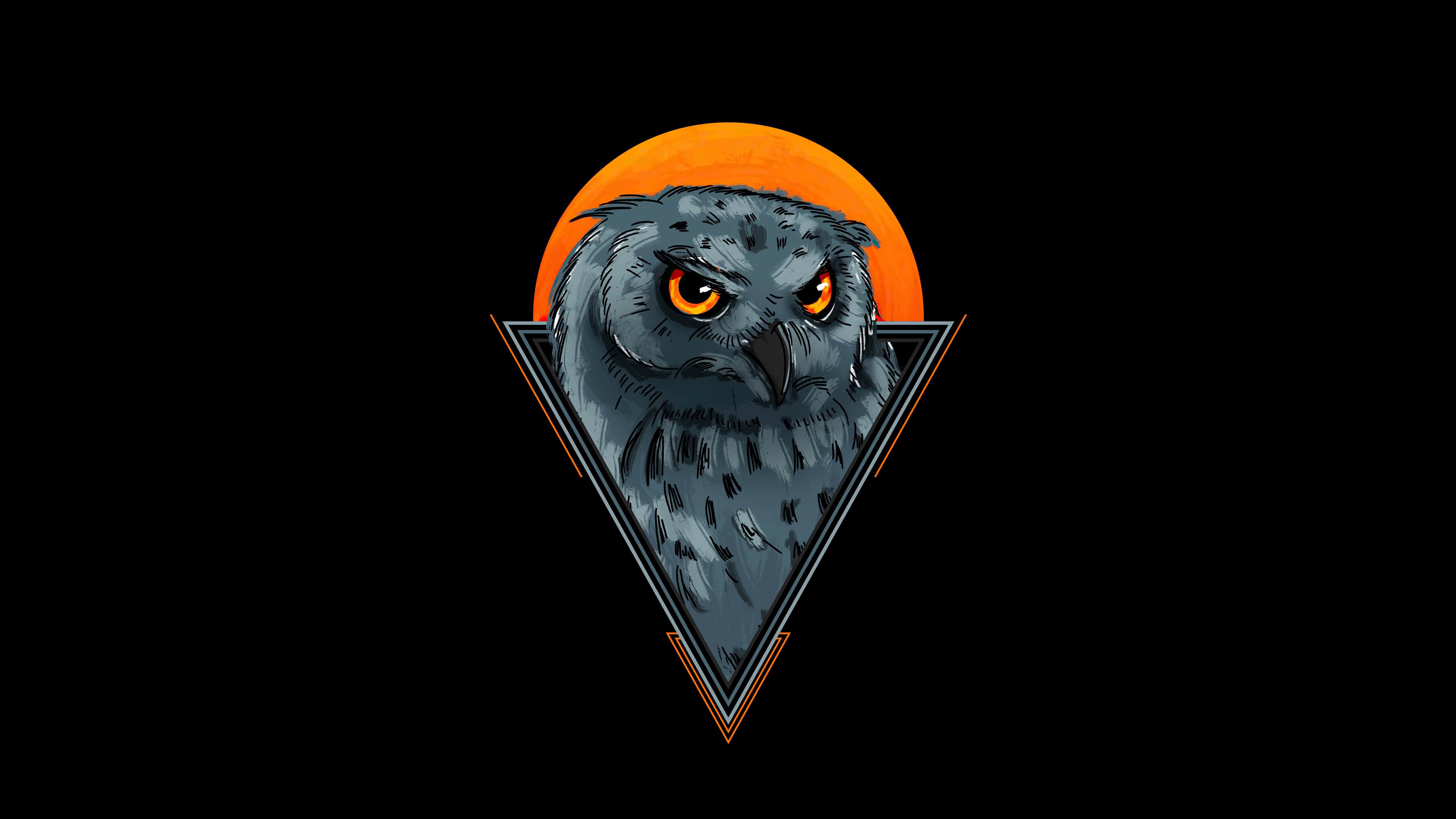 Owl 4k Wallpapers - Top Free Owl 4k Backgrounds - WallpaperAccess