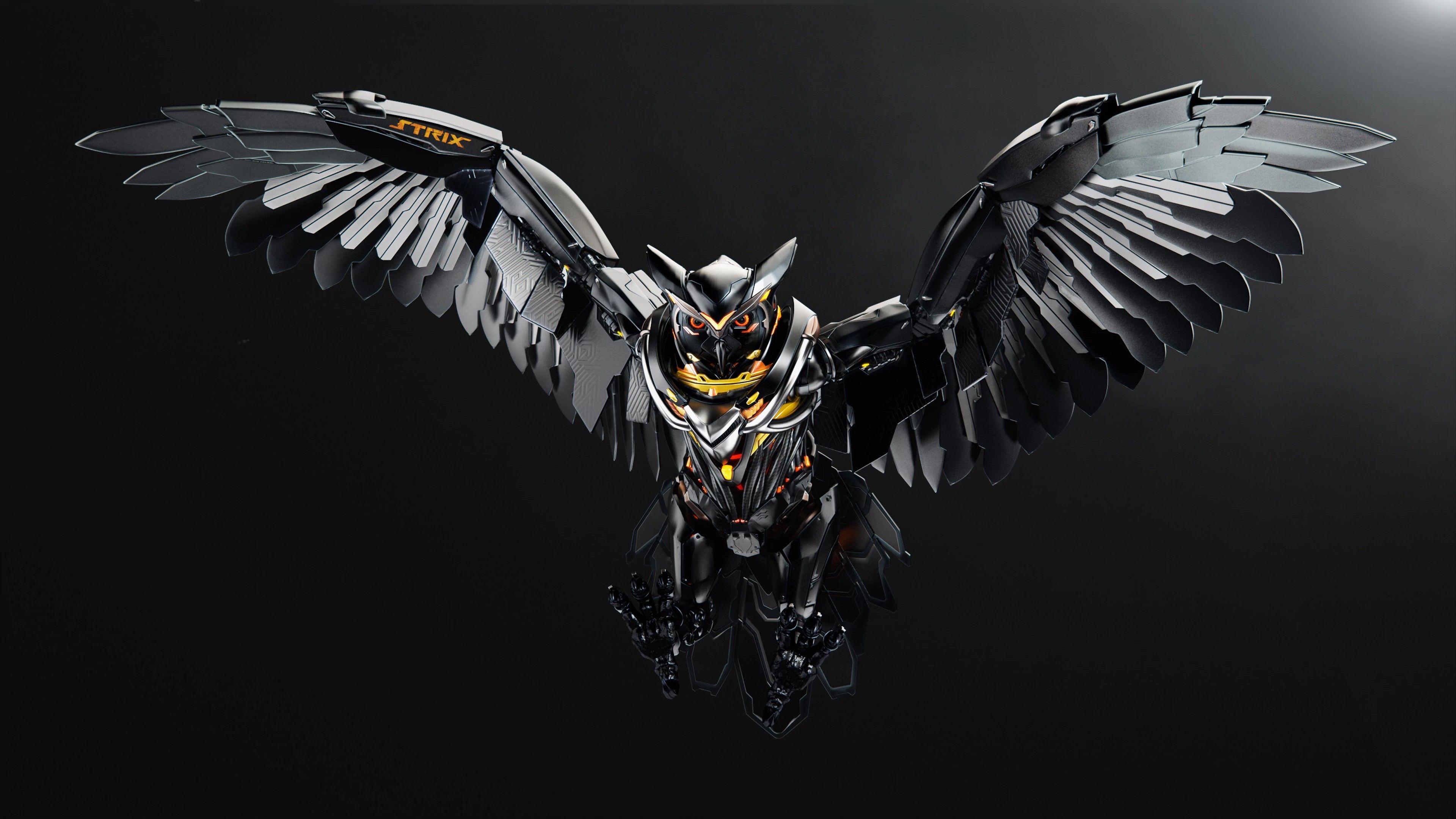 3840x2160 Wallpaper owl, 3D, asus, 4k, OS