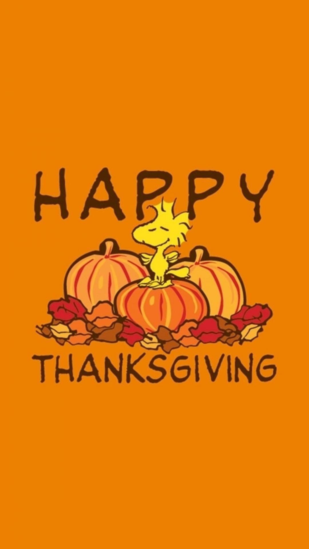 1080x1920 Thanksgiving Powerpoint Templates Unique Free Happy Thanksgiving
