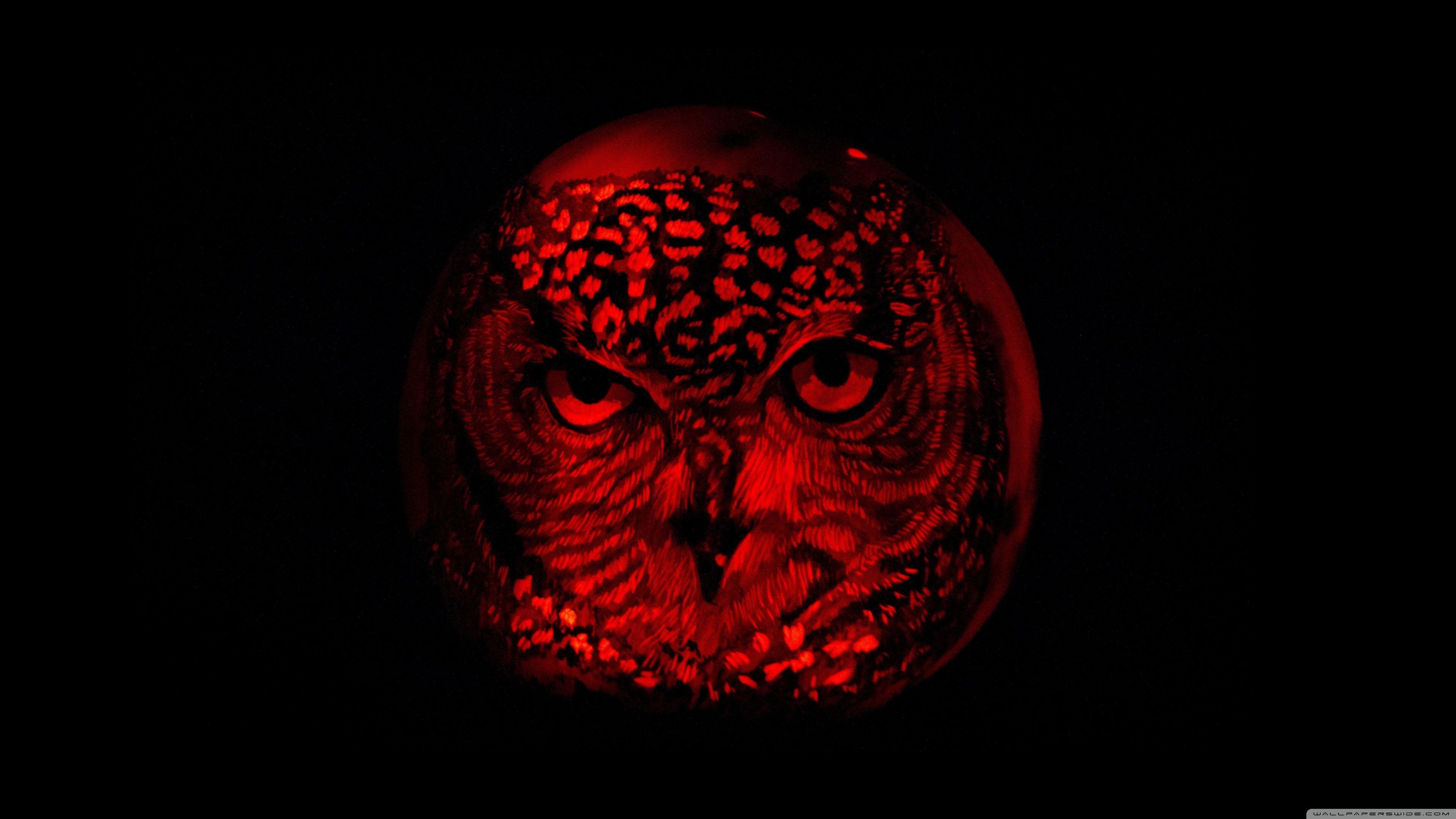 3840x2160 Owl Pumpkin Carving Ultra HD Desktop Background Wallpaper for 4K UHD TV : Widescreen & UltraWide Desktop & Laptop : Tablet