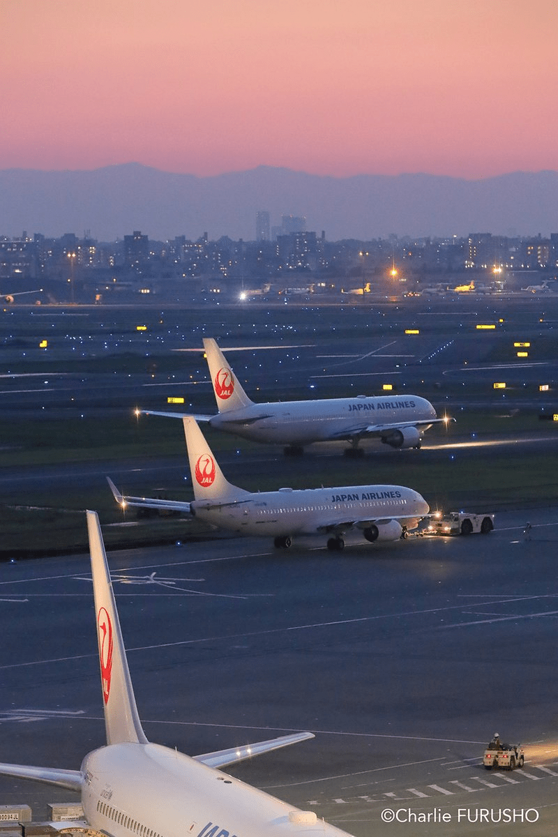 800x1200 JAPAN AIRLINES【JAL】 on Twitter. Japan, Airplane view, Airlines