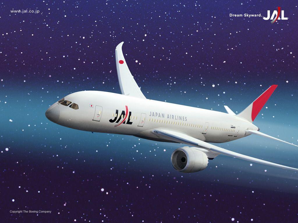 1024x768 JAL 787 8. Passenger Jet, Passenger, Airline