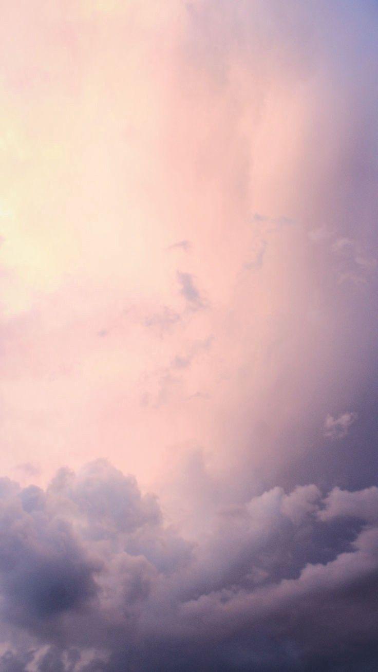 736x1308 Pretty Wallpaper For Your mobile.