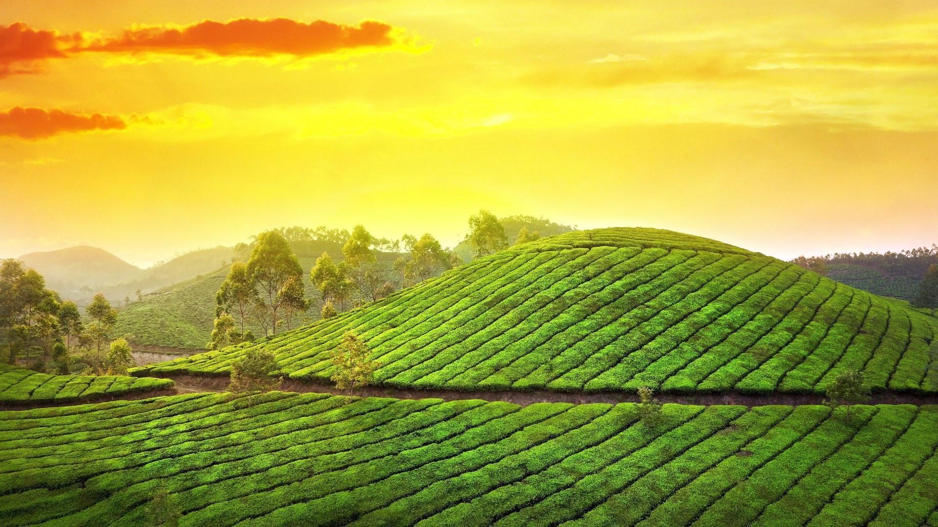 1920x1080 Hill Station Wallpaper