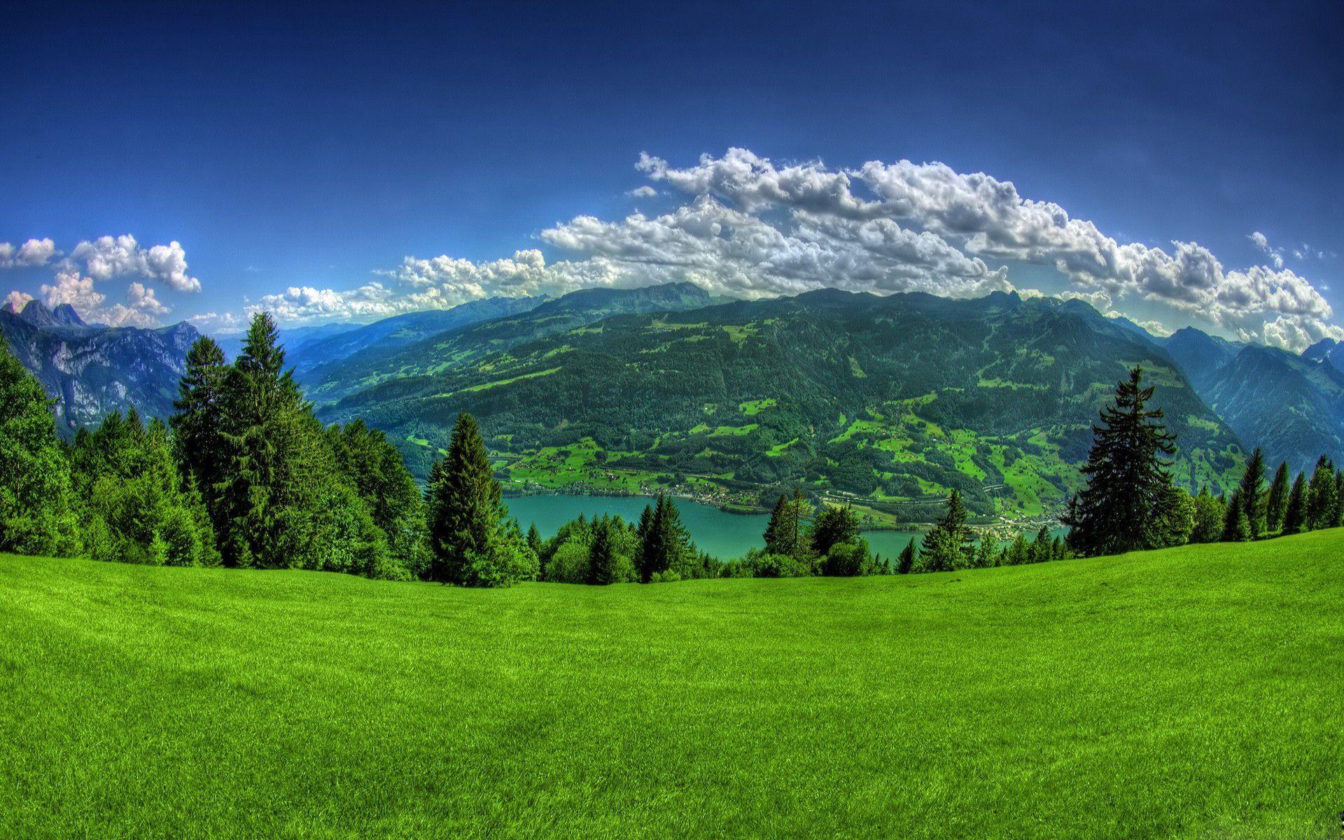 1920x1200 Background Image Full HD Wallpaper