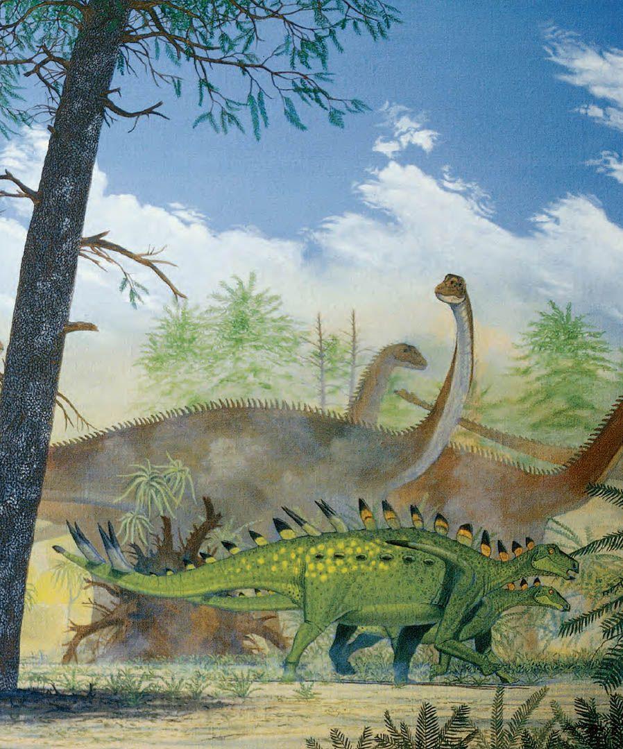 898x1080 Stegosaurus